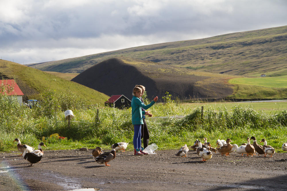 Guesthouse Hof In Vatnsdalur Hof i Vatnsdal Экстерьер фото