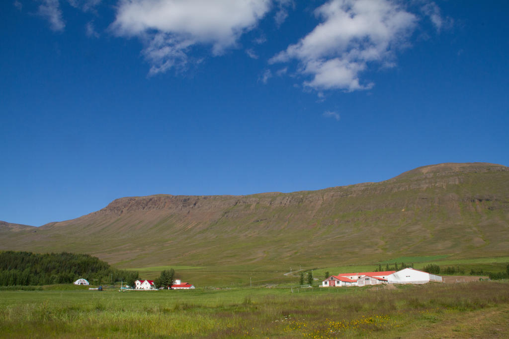 Guesthouse Hof In Vatnsdalur Hof i Vatnsdal Экстерьер фото