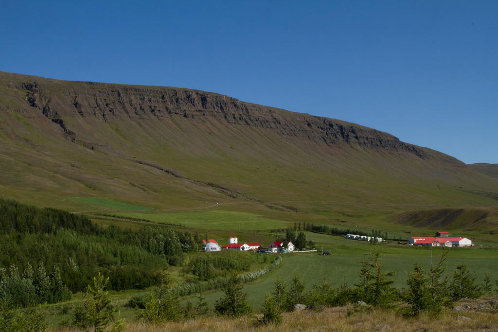 Guesthouse Hof In Vatnsdalur Hof i Vatnsdal Экстерьер фото