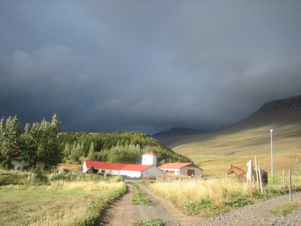 Guesthouse Hof In Vatnsdalur Hof i Vatnsdal Экстерьер фото