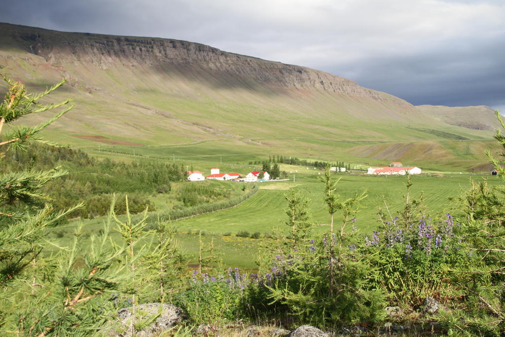Guesthouse Hof In Vatnsdalur Hof i Vatnsdal Экстерьер фото