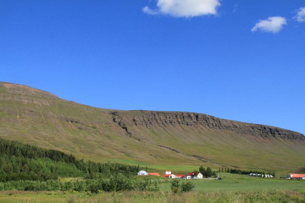 Guesthouse Hof In Vatnsdalur Hof i Vatnsdal Экстерьер фото