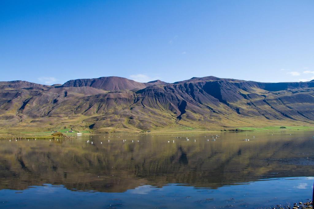 Guesthouse Hof In Vatnsdalur Hof i Vatnsdal Экстерьер фото