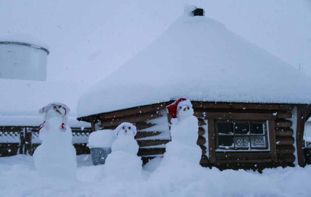 Guesthouse Hof In Vatnsdalur Hof i Vatnsdal Экстерьер фото