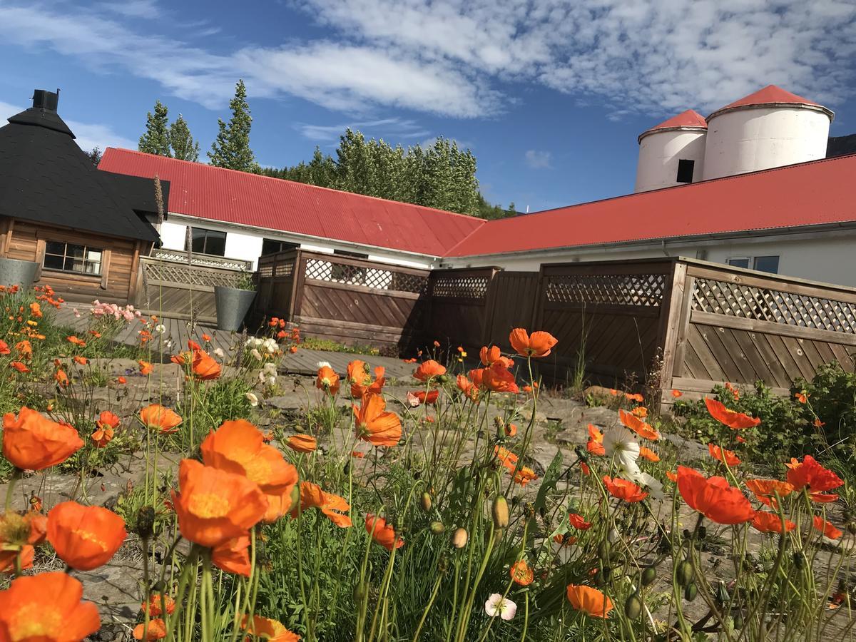 Guesthouse Hof In Vatnsdalur Hof i Vatnsdal Экстерьер фото